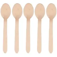 Papstar Houten wegwerp bestek lepels - 100x stuks - 16 cm - Verjaardag/bbq