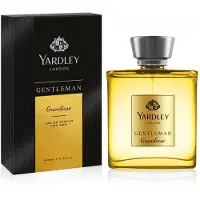 Yardley Gentleman Grandiose eau de parfum spray 100 ml