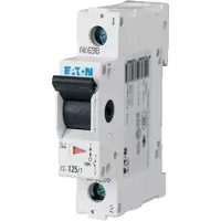 Eaton Hoofdschakelaar 1p 240V 100A