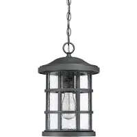 QUOIZEL LED Buiten Hanglamp Crusade | 1X E27 Max 60W | IP44 | Dimbaar | Earth Black