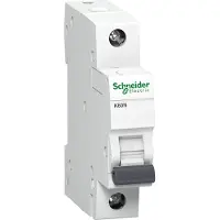 Schneider 3814611 Zekeringautomaat 1-polig 6 A