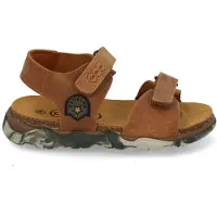 Develab 48493 757 cognac (24-3)