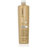 Inebrya Ice Cream Argan-Age Pro-Age Shampoo 300 ml