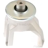 TRISCAN 8505 29187 Motorsteunlager