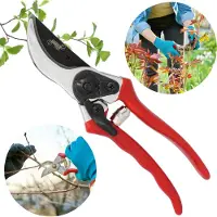 Sarcia.eu Handbediende SNOEISCHAAR, tuinschaar VOOR TAKKEN, heggenschaar, SCHERP 20 cm