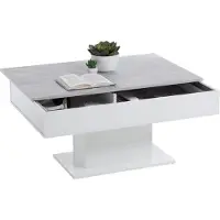 FMD Möbel Salontafel betongrijs en wit