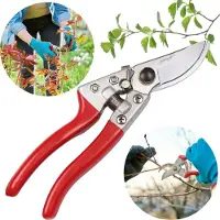 Sarcia.eu Handbediende SNOEISCHAAR, tuinschaar VOOR TAKKEN, heggenschaar, SCHERP 20 cm