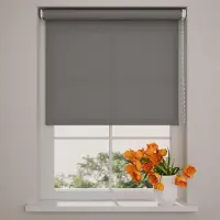 Coulisse Rolgordijn Easy Lichtdoorlatend - Grey - 100 x 190 cm