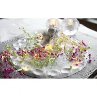 Best Season Dauwdruppel "Paarse Parels"- 110cm - 20 leds