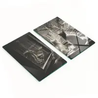 Tulup Multifunctionele decoratieve glazen keukenplanken met katten in het raam, 2x30x52 cm