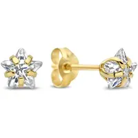 New Bling Oorknopjes – 9NBG-1045 – 14K Goud – Ster met Zirkonia – 5 mm