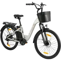TTGO Elektrische Fiets C2 Pro - 250W Motor - 36V 18Ah Accu - Bereik 80-120km - 26" Banden Elektrische Stadsfiets - Shimano 7-Speed - 25km/u - Zilver
