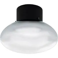 Eglo Plafondlamp Belategi E27 60w
