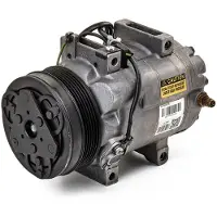 RIDEX 447K0491R Aircopomp