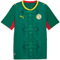 Puma Tricot 'Senegal 2026' geel / groen