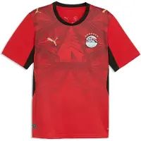 Puma Tricot 'EFA Home' rood / donkerrood / zwart / wit