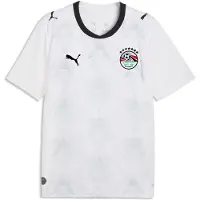 Puma Tricot 'Ägypten 2026' donkerblauw / wit