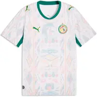 Puma Tricot 'Senegal 2026' hemelsblauw / grasgroen / rosa / wit