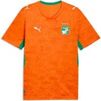 Puma Tricot 'FIF' smaragd / oranje / donkeroranje / wit