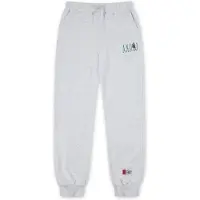 AND1 Broek lichtgrijs / smaragd