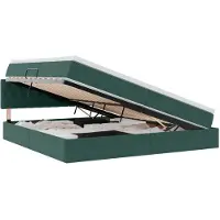 vidaXL Opbergbed met hoofdeinde Donkergroen 200 x 200 cm Fluweel