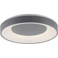 Paul Neuhaus Ø 50cm plafondlamp Anika