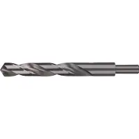 RUKO 2004130 DIN 338 Typ N HSS-G Spiraalboor 13 mm Gezamenlijke lengte 151 mm DIN 338 1 stuk(s)