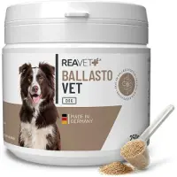 ReaVET - BallastoVET voor Honden - Bevordert een normale stoelgang van je Hond - Voor een gezonde spijsvertering - 250g