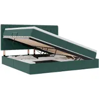 vidaXL Opslag bed met matras Donkergroen 200 x 200 cm Fluweel