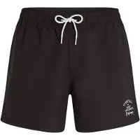 O'Neill Original Beach 15inch Swimshort