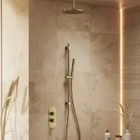 Saniclear Oval inbouw regendouche 25cm geborsteld messing PVD met plafondarm, glijstang en staafhanddouche