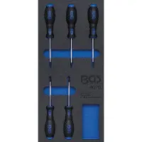 Bgs 4076 1/3: Inzetstuk voor werkplaatswagen: Schroevendraaierset met T-profiel, T6-T10, 5-delig.