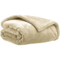 Vivaraise Deken Michka - Knus overdekt 100% polyester, dubbelzijdig (microvezel en imitatieschaap), 180 x 220 cm