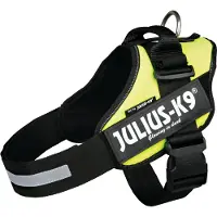 Julius-K9 IDC Powertuig - Hondentuig - L - Maat 1 - Neon