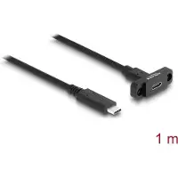 DeLOCK SuperSpeed USB 10 Gbps (USB 3.2 Gen 2) Cable USB Type-C male to female 1 m panel-mount black