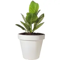 Ecken & Kanten Bloempot | | Ø 25 cm