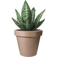 Pro Garden Bloempot - mokka bruin - rond - D25 cm - kunststof - plantenpot - tuin buiten