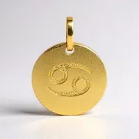 Cavill - Zilveren hanger kreeft sterrenbeeld - 925 Sterling zilver verguld - Ronde gepolijste luxe hanger - 22x17 mm - Astrologie sieraden
