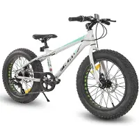 Hiland 20 Inch Kids Fatbike Mountainbike - Voor Jongens & Meisjes - Shimano 7 Versnellingen - Dubbele Schijfremmen - Vanaf 5 Jaar - Geschikt voor buitenactiviteiten in de lente