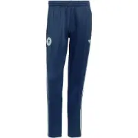 Adidas Sportbroek 'DFB' donkerblauw / mintgroen