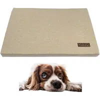 DOTTY Hondenkussen M (75x60cm) - Waterafstotend & Wasbaar