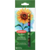 Derwent softpastels Academy , blister van 12 stuks in geassorteerde kleuren