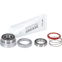 Dt Swiss Ratchet 54t 180 Exp Servicekit