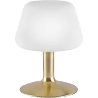 Paul Neuhaus Nachtlampje Till, dimbaar, messing / goud, Woon-/ Eetkamer, metaal, Modern, Tafellamp