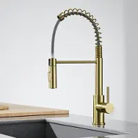 CECIPA MAX Keukenkraan met Uittrekbare Uitloop - Goud Keukenkraan - Mengkraan Keuken - 2 straalstanden - RVS