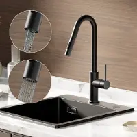 CECIPA MAX Keuken kraan - Keukenkraan met uittrekbare uitloop - Handdouche met 2 straalsoorten - V-Uitloop Keukenkraan - Flexibele Slang - Zwart