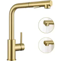 CECIPA MAX Keukenkraan met Uittrekbare Uitloop - Gouden Keukenkraan - Keuken Kraan Goud - Mengkraan Keuken - 2 straalsoorten