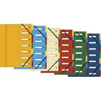Exacompta 8x Sorteermap HARMONIKA met uitrekbare rug en uitgesneden vensters - 7 indelingen - Geassorteerd - 5307E