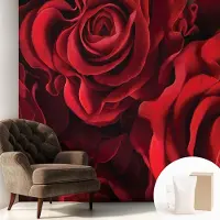 Coloray Behang - Rode rozen Behangrol - 250x250 cm - Rood Behang - Voor liefhebbers van romantische bloemenmotieven - Behang Voor de slaapkamer, woonkamer en hal - Muurbehang Bloemen en planten