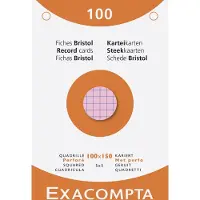 Exacompta 10x etui 100 steekkaarten bristol geruit 5x5 geperforeerd 100x150mm - Geassorteerd - 13652E